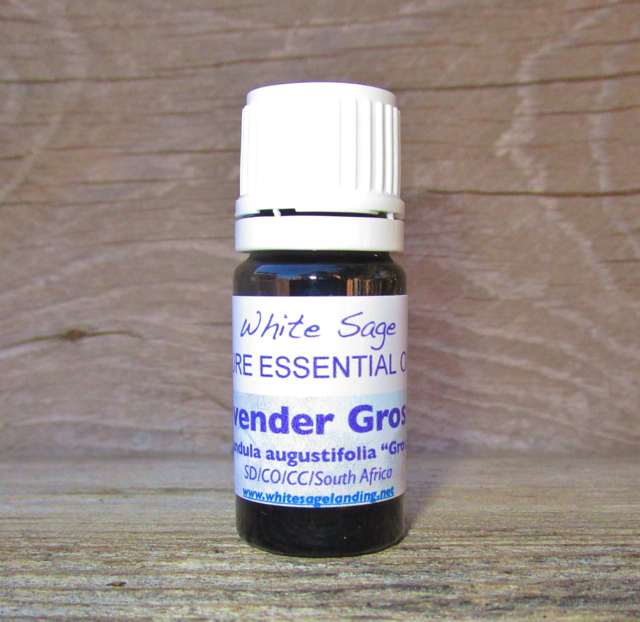 Lavender Grosso Essential Oil Lavender Grosso Essential Oil 5 ml