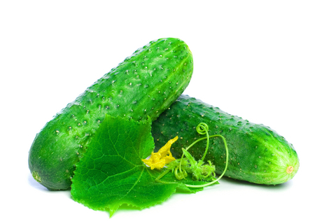 cucumber seed botanical oil 3