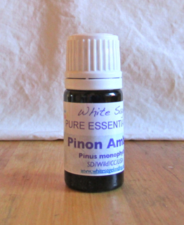 Pinon Amber Essential Oil