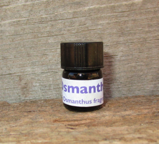 Osmanthus Absolute