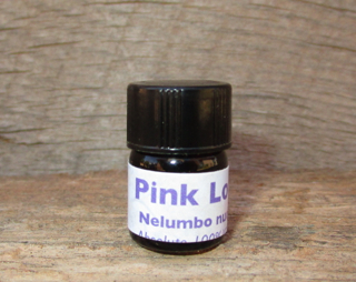 Pink Lotus Absolute
