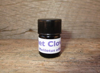 sweet-clover-abs Sweet Clover Absolute