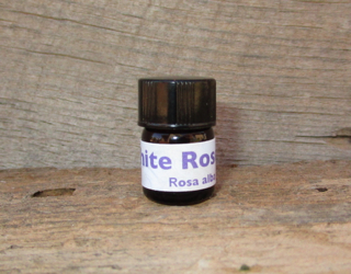white-rose-abs White Rose Absolute