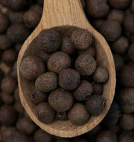 dreamstime_xs_28451800Allspice-199x300 allspice essential oil