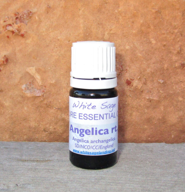 angelica-rt Angelica Essential Oil 5 ml