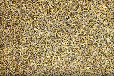 dreamstime-AniseSeed anise essential oil