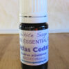 Atlas-Cedar atlas cedar essential oil 2