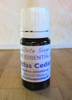Atlas-Cedar atlas cedar essential oil 2