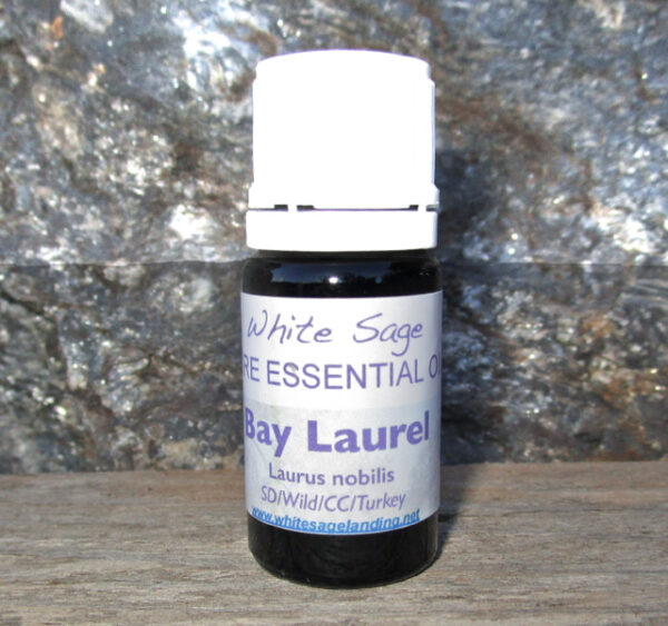 Bay Laurel Essential Oil 5 ml