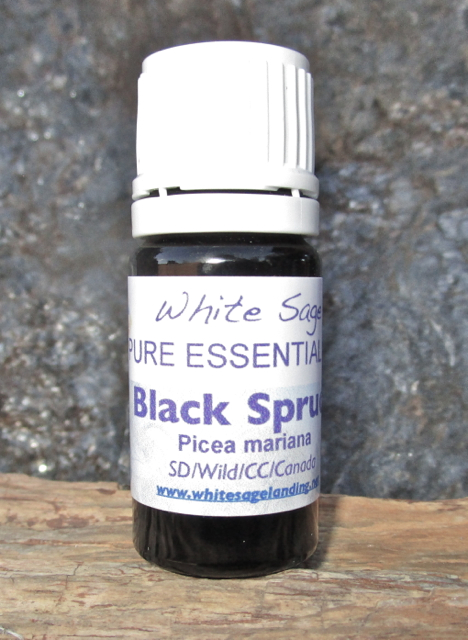 black-spruce-eo Black Spruce Essential Oil 5 ml