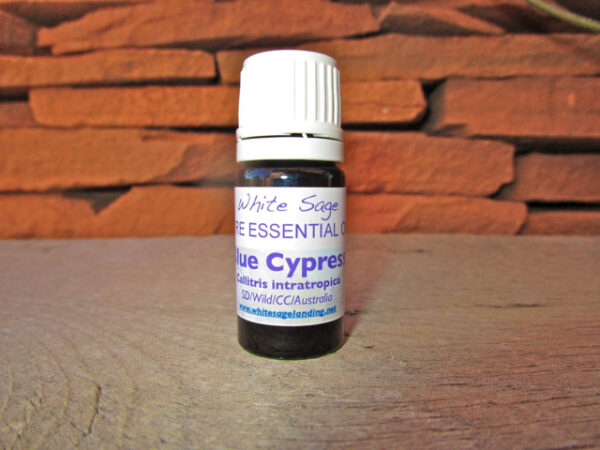 blue-cypress-5ml Blue Cypress EO 5ml