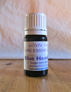 Blue Hemlock Essential Oil