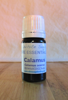 Calamus Calamus Essential Oil
