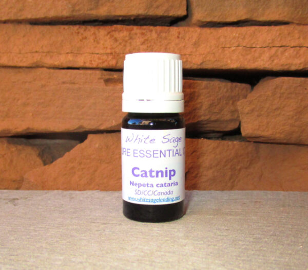 catnip-5ml Catnip EO 5ml