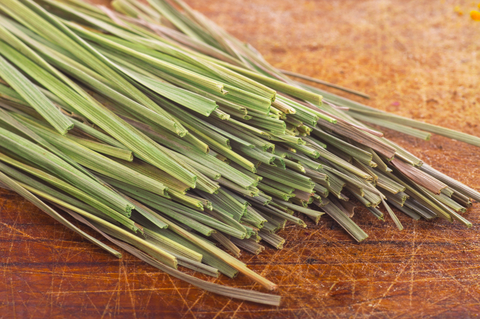 citronella essential oil 2