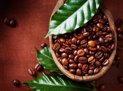 dreamstime_xs_29212543CoffeeBeans coffee essential oil
