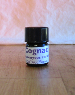 Cognac-1 Cognac essential oil 3
