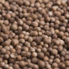 dreamstime_xs_49429634CorianderSeed coriander co2 extract 3
