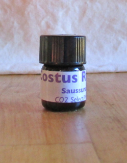 Costus-1 costus root co2 extract 2