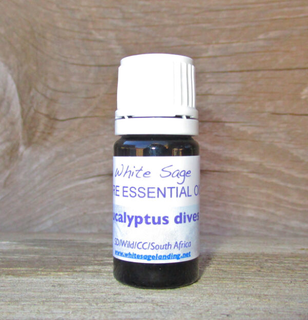 euc-dives-5ml Eucalyptus Dives Essential Oil 5ml