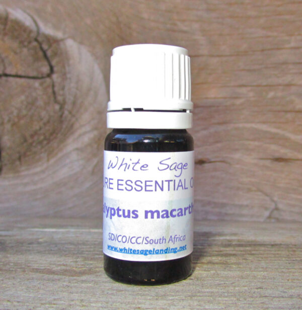 eucalyptus-macarthurii-5ml Eucalyptus Macarthurii Essential Oil 5ml