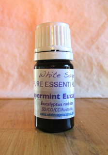 Peppermint-Eucalyptus Eucalyptus radiata essential oil 3