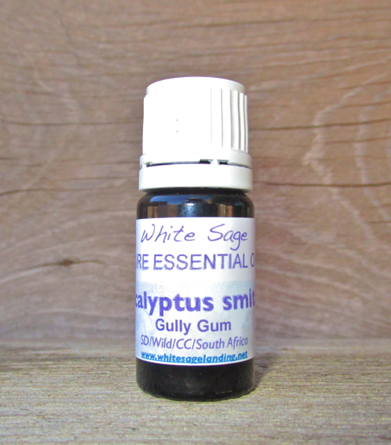 Eucalyptus Smithii Essential Oil 5ml