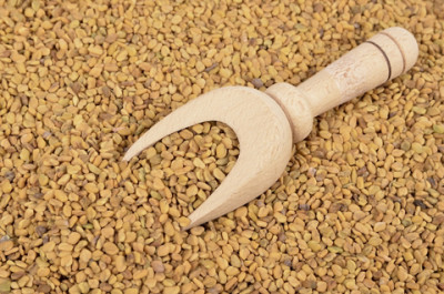 dreamstime_xs_26735404Fenugreek-400x265 fenugreek co2 extract 3