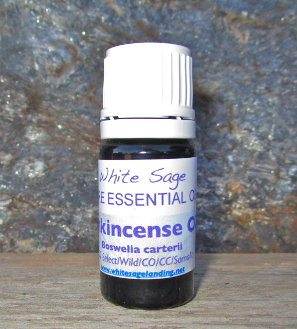 Frankincense CO2 Extract 5 ml