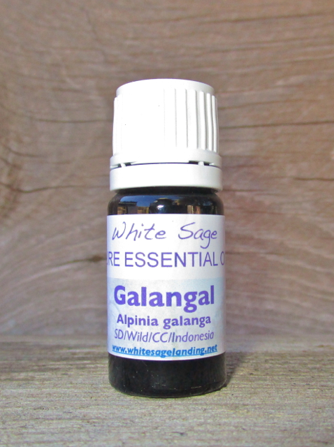 Galangal Essential Oil 5ml