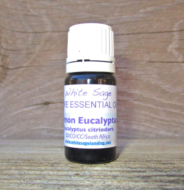 lemon-euc-2 Lemon Eucalyptus Essential Oil 5 ml