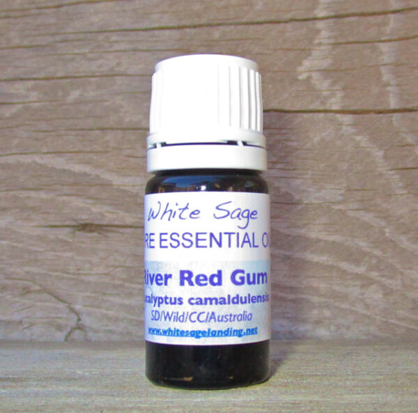 rever-red-gum-5ml River Red Gum Essential Oil 5 ml