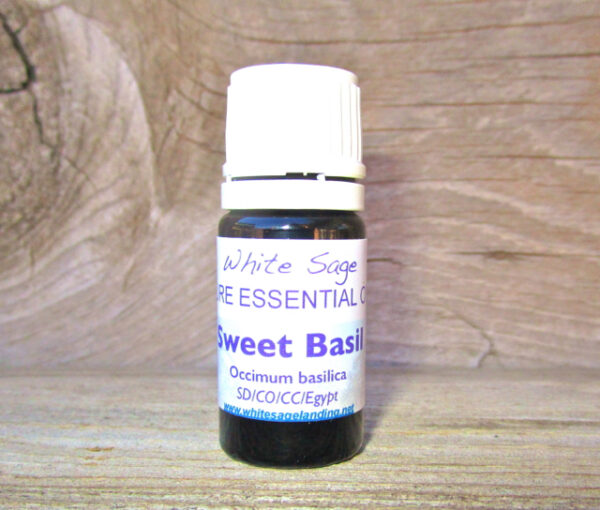 sweet-basil-5ml Sweet Basil Essential Oil 5 ml