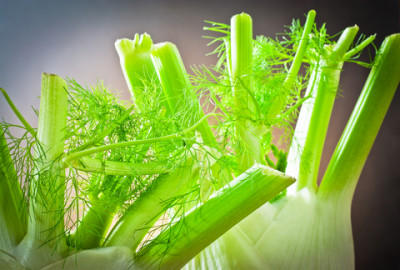 sweet fennel essential oil 3