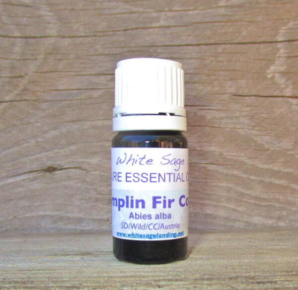 templin-fir-cone Templin Essential Oil 5 ml