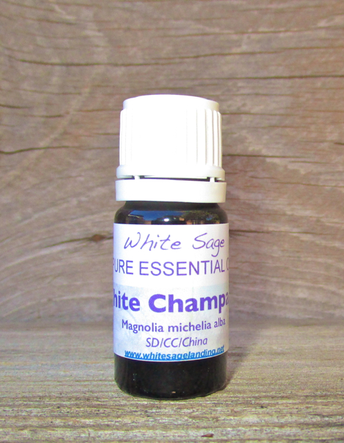 white-champa-leaf White Champa Leaf Essential Oil 5 ml