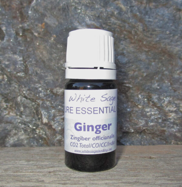 ginger-co2 Ginger CO2 Extract 5 ml