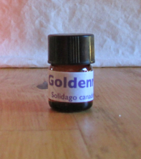 Goldenrod Essential Oil