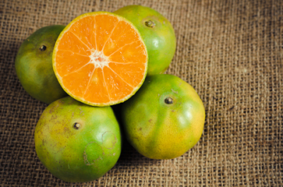 dreamstime_xs_34565981GreenMandarin-400x265 green mandarin essential oil 2