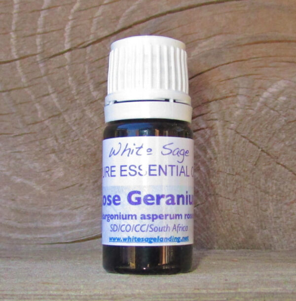 rose-geranium Rose Geranium Essential Oil 5 ml