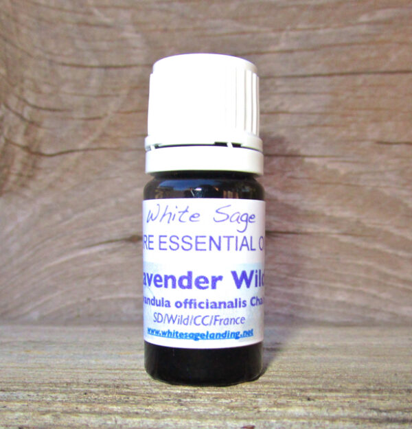 lavender-wild Wild French Lavender 5 ml