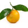 dreamstime_xs_clementine-400x293 clementine orange essential oil 2