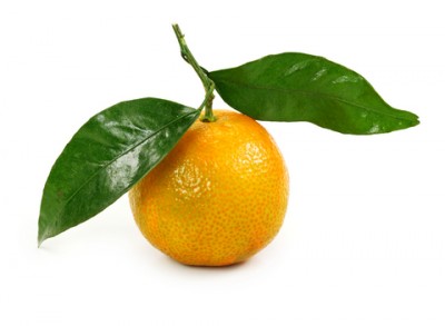 dreamstime_xs_clementine-400x293 clementine orange essential oil 2