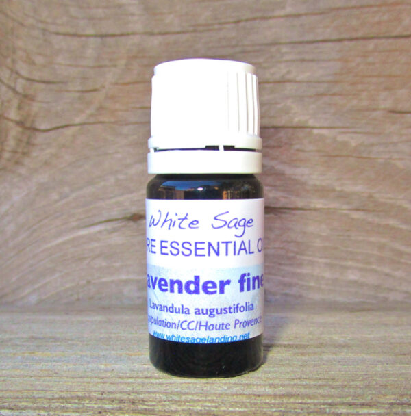 Lavender Fine Essential Oil 5 ml