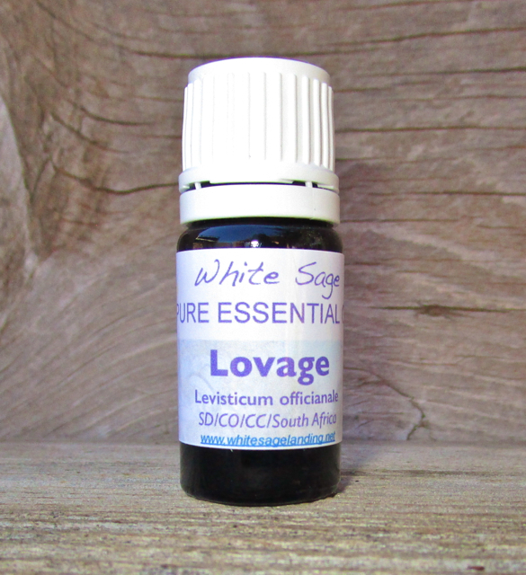 Lovage Essential Oil 5 ml