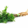lovage essential oil 2