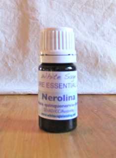 Nerolina essential oil 3 Nerolina Essential Oil
