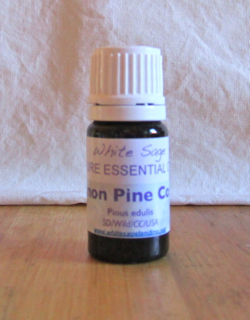 Pinon-Pine-Cone piñon pine cone essential oil 2