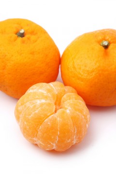 dreamstime_xs_mandarin-240x360 red mandarin essential oil 2