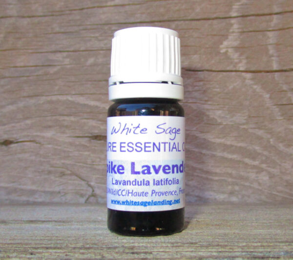 spike-lavender-5ml Spike Lavender Essential Oil 5 ml